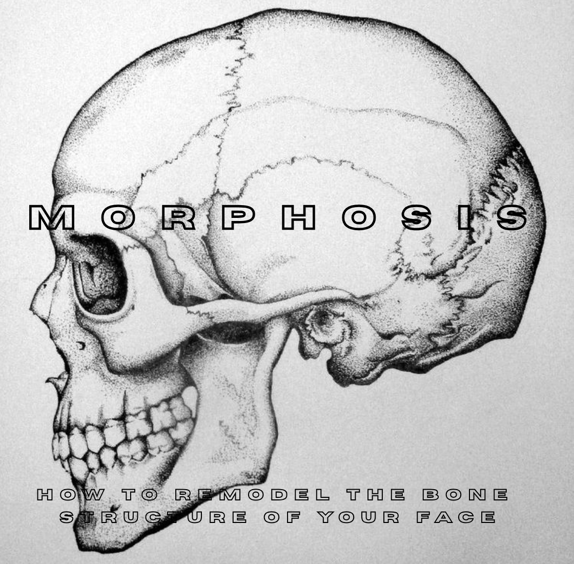 Morphosis: Change Your Bone Structure at Any Age.